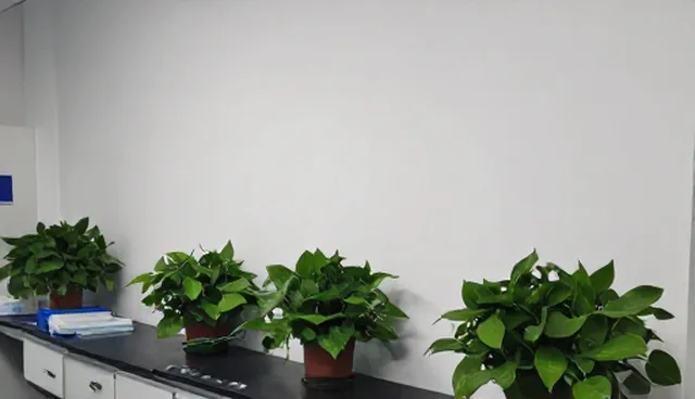 慢病管理套餐适用条件的常见误区与正确理解