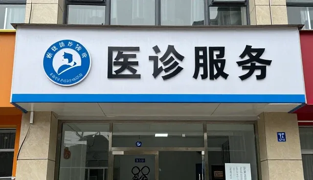 门诊慢病随访系统的日常维护与使用要点